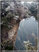 foto Parco forestale nazionale Zhangjiajie